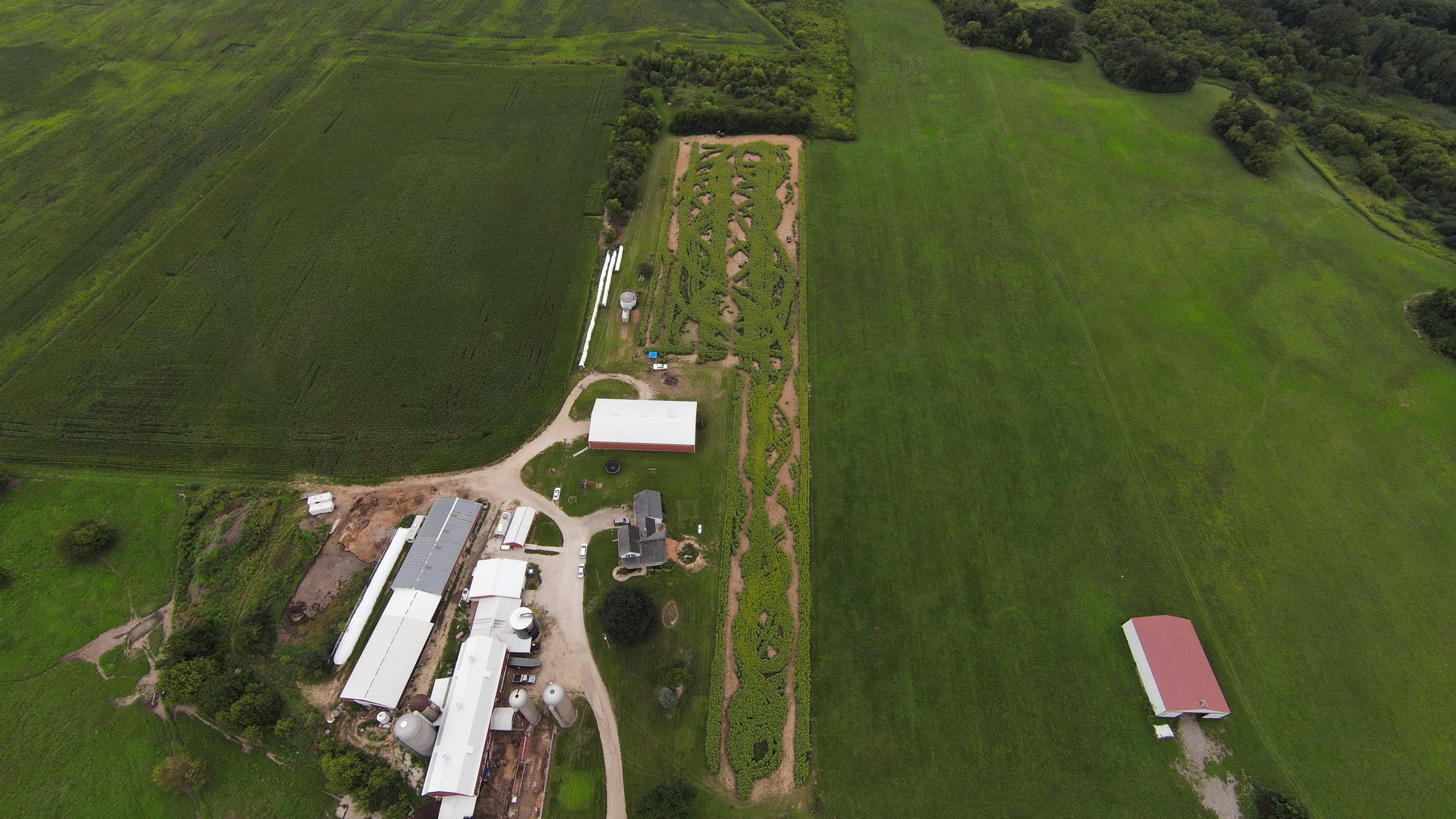 Aerial view of the Forever Vos Farms sunflower field, looking east